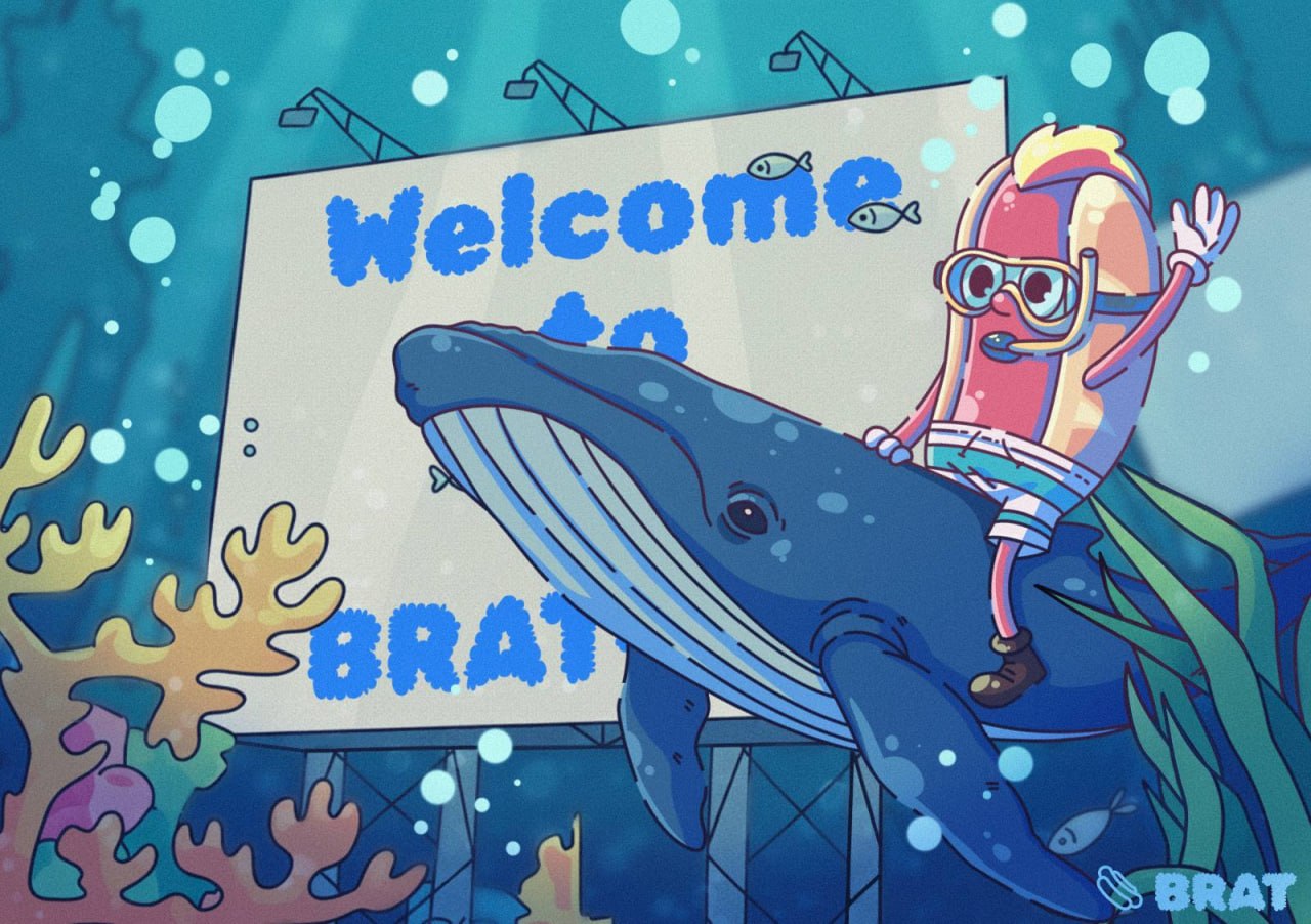 BRAT art 64